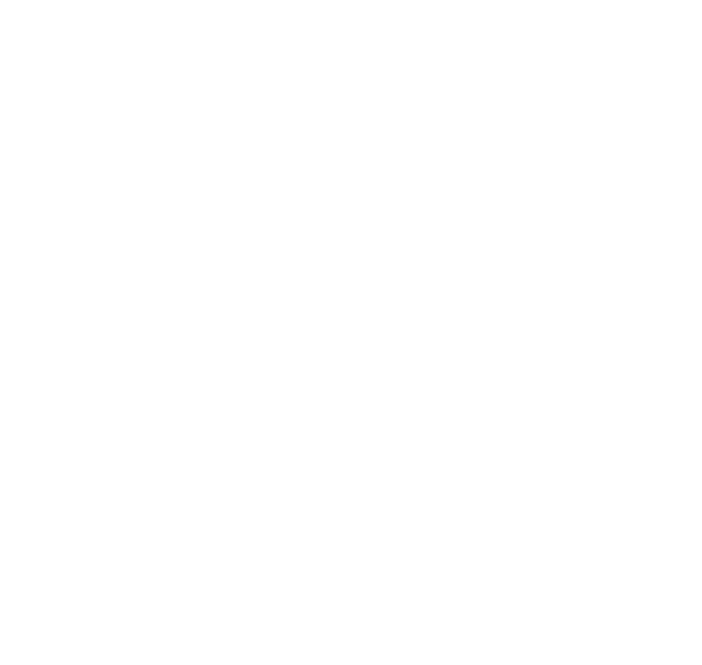 Hamilik Okulu Vakfı